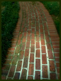 Charting-the-Course-pix1