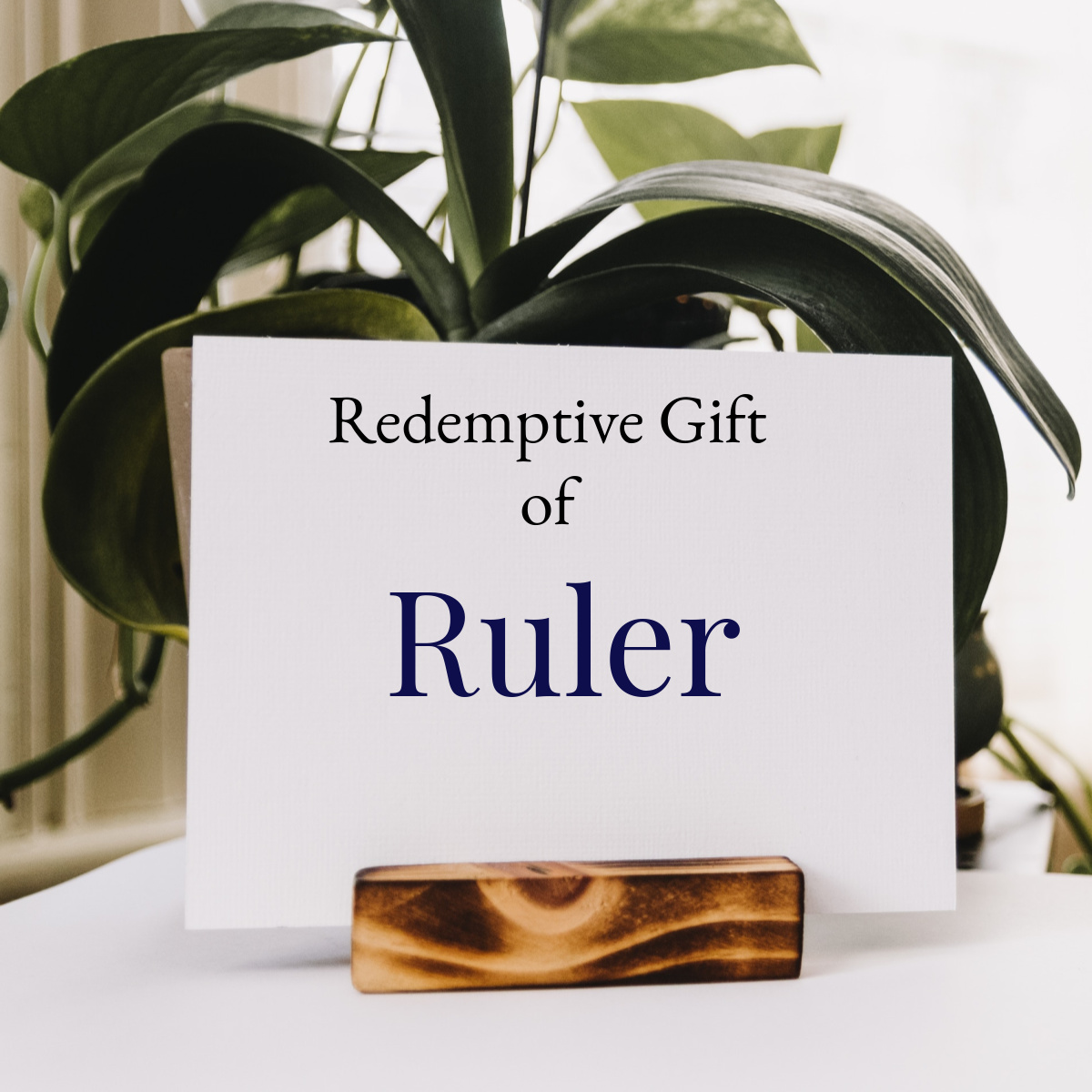redemptive gift of ruler checklist nancy bentz