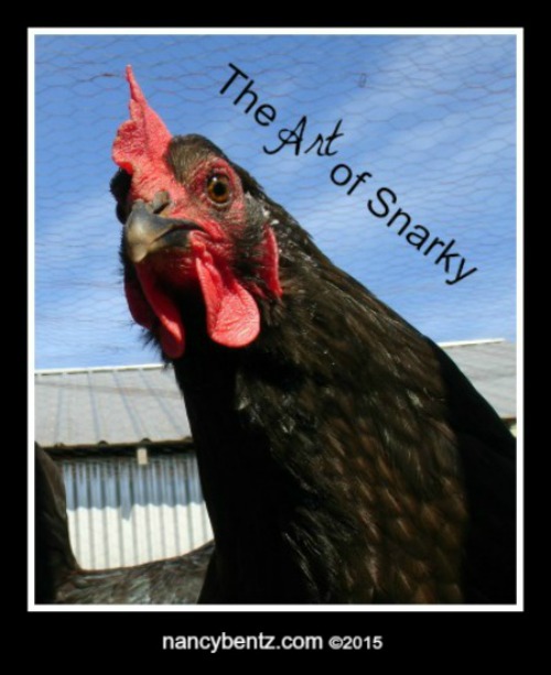 The Art of Snarky