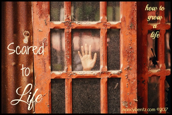 From Scared to Death to Scared to Life